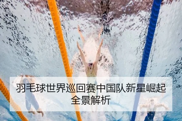 羽毛球世界巡回赛中国队新星崛起全景解析